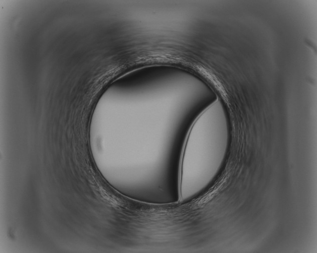 X0000094950481200711291109