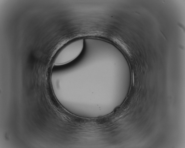 X0000094950483200711291108