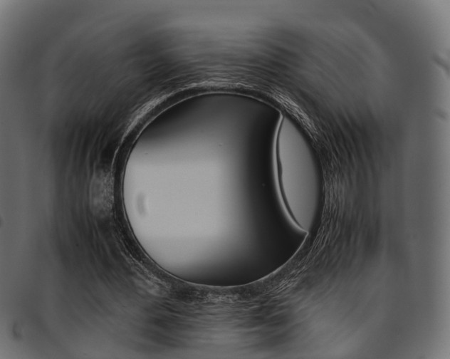 X0000094950484200711291108