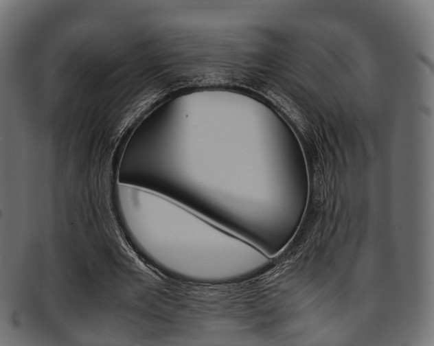 X0000094950485200711291108