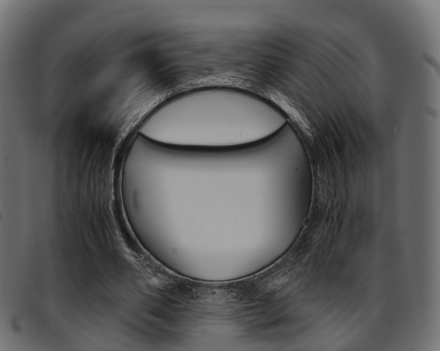 X0000094950486200711291108