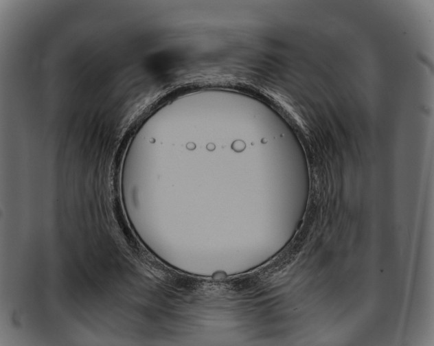 X0000094950487200711291108