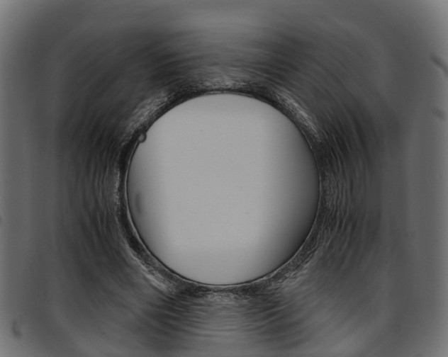X0000094950490200711291108