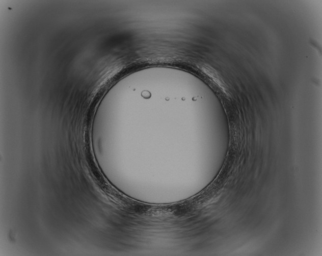 X0000094950491200711291108