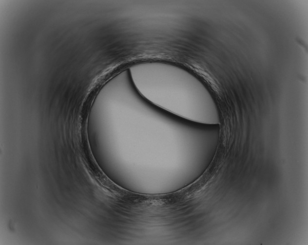 X0000094950492200711291108