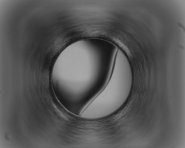 X0000094950493200711291108
