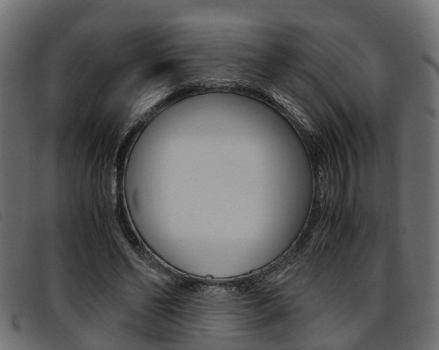 X0000094950494200711291108