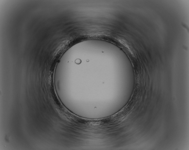 X0000094950495200711291108