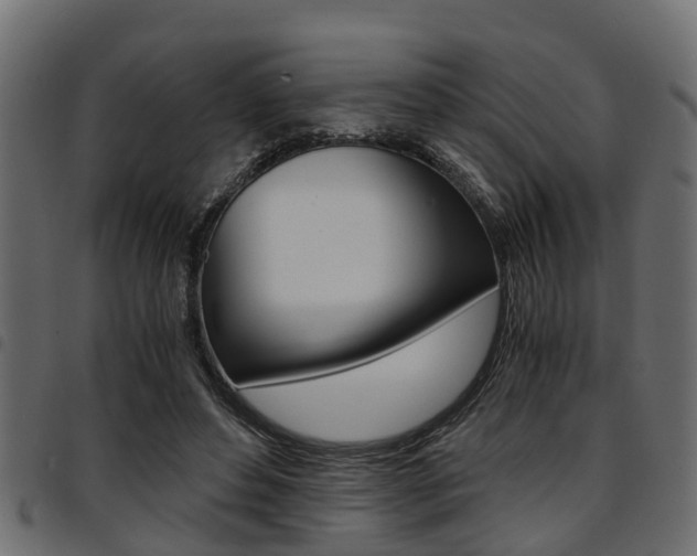 X0000094950496200711291108