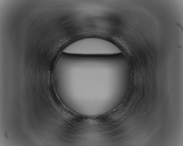 X0000094950498200711291108