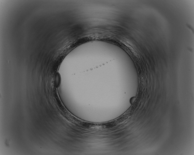 X0000094950499200711291108