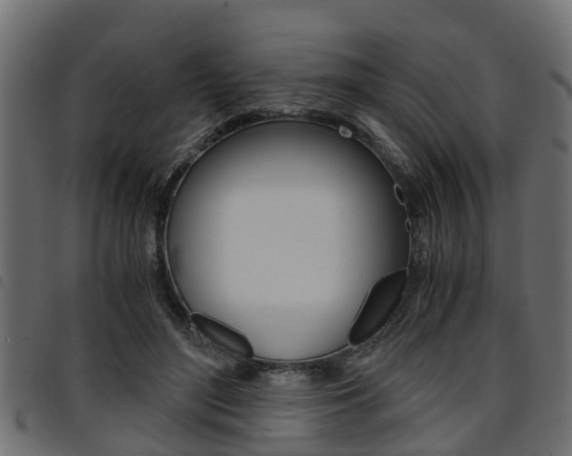 X0000094950500200711291108