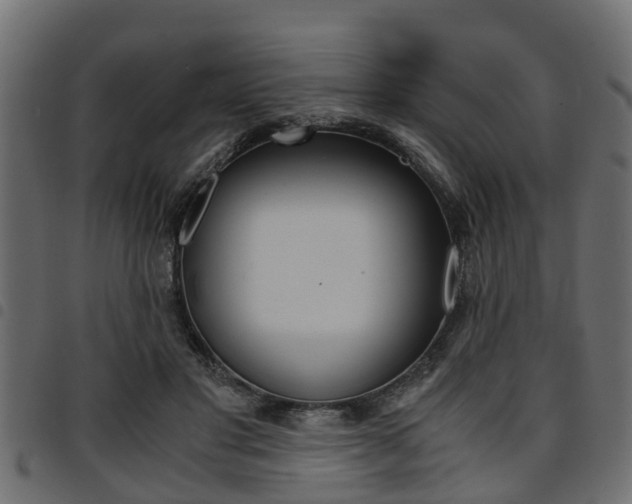 X0000094950501200711291108