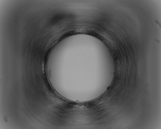 X0000094950502200711291108