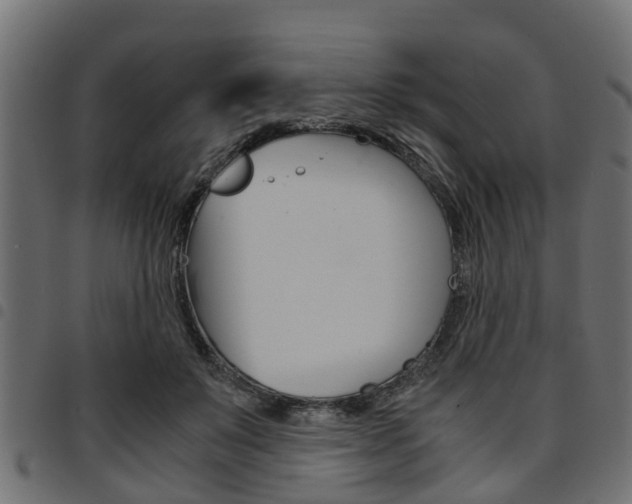 X0000094950503200711291108