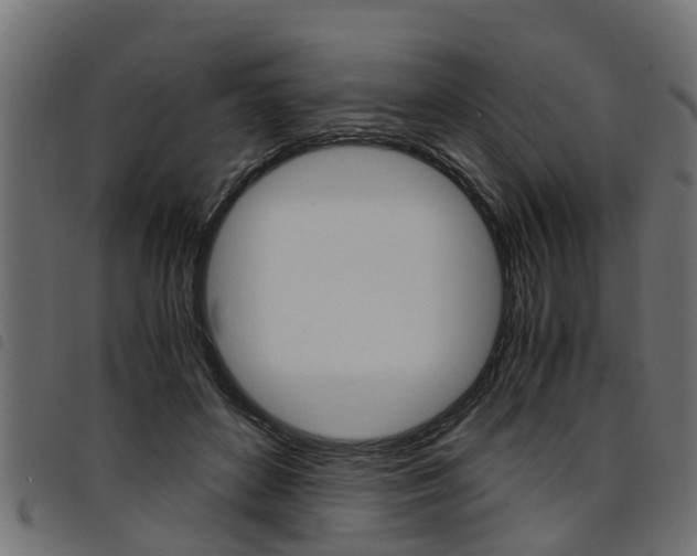 X0000094950504200711291108