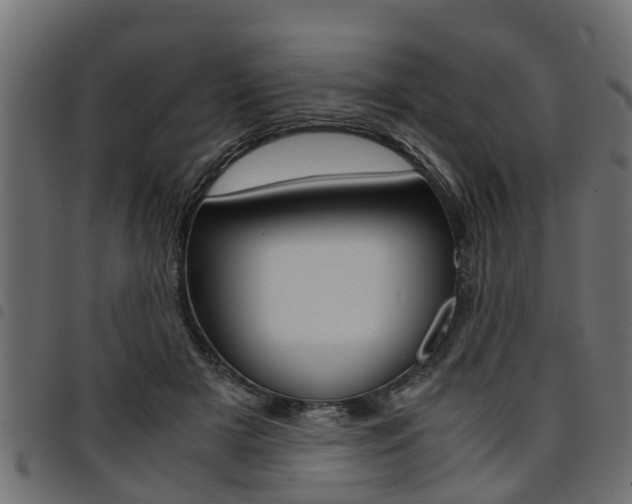 X0000094950505200711291108