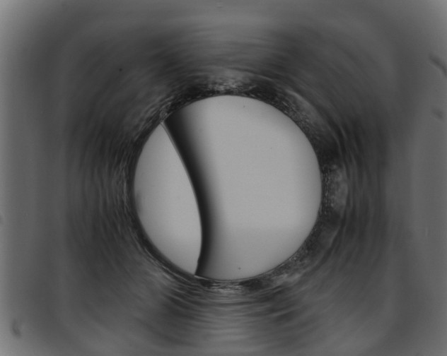 X0000094950510200711291108