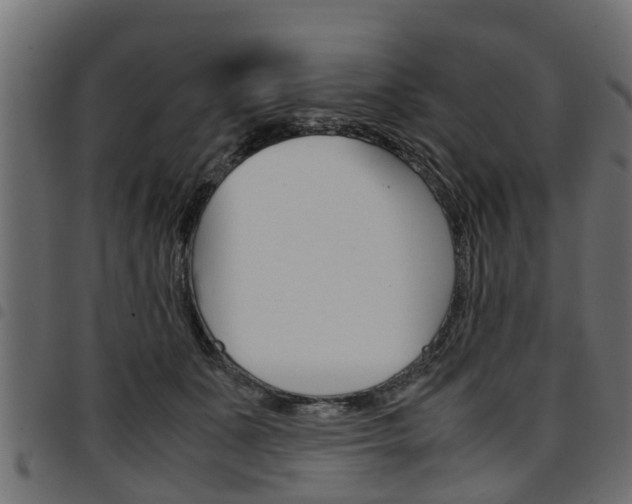 X0000094950511200711291108