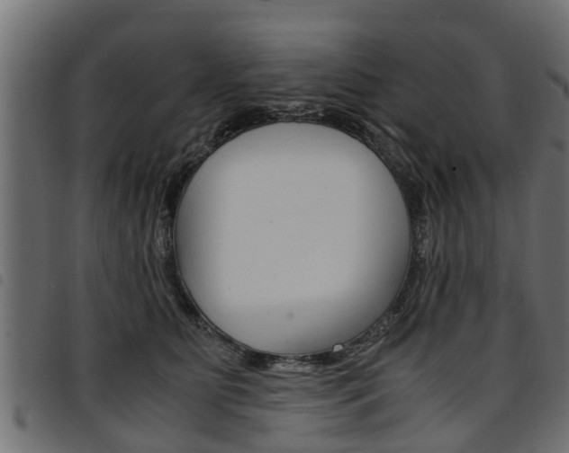 X0000094950515200711291108