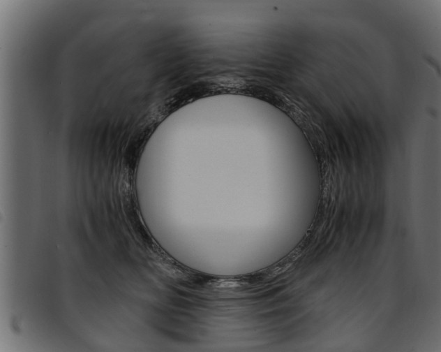 X0000094950518200711291108