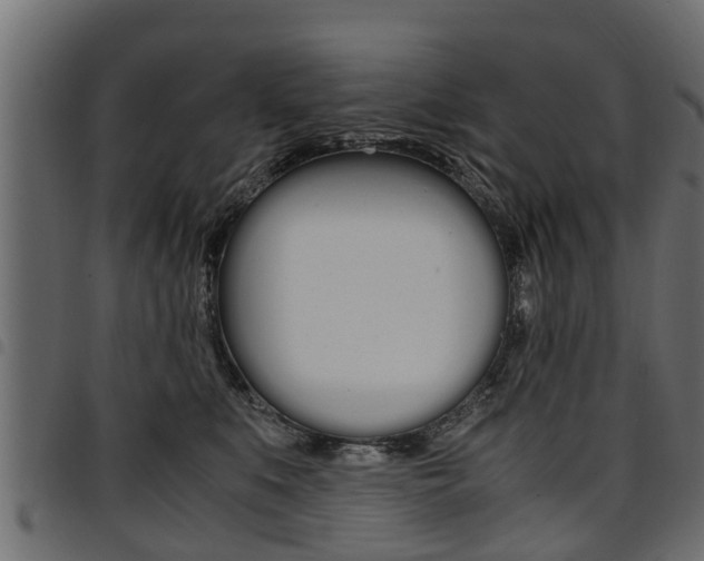 X0000094950519200711291108