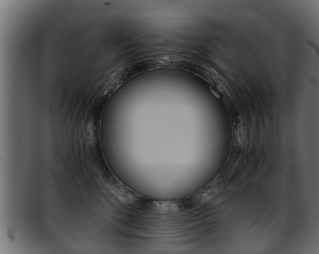 X0000094950520200711291108