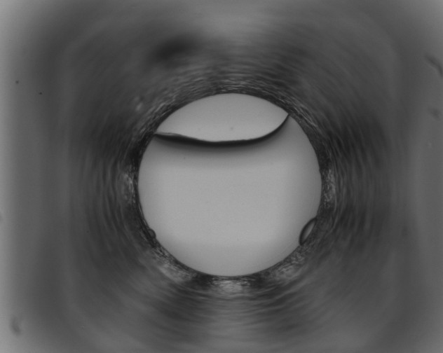 X0000094950522200711291108
