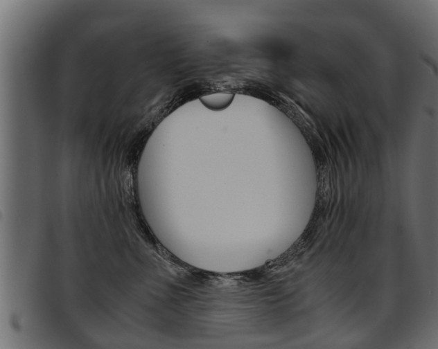 X0000094950523200711291108
