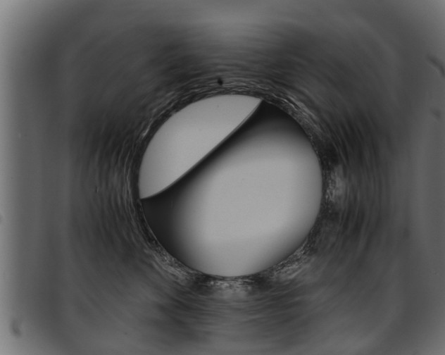 X0000094950524200711291108