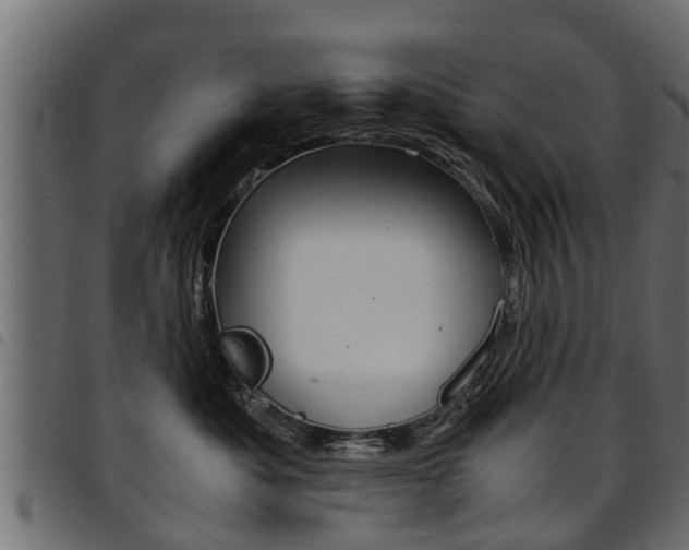 X0000094950525200711291108