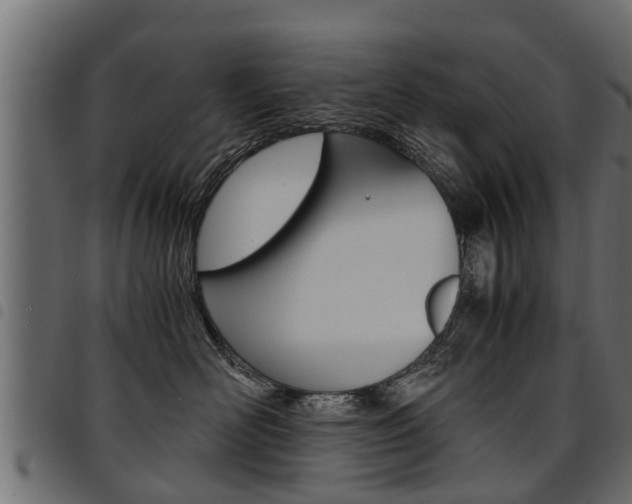 X0000094950526200711291108