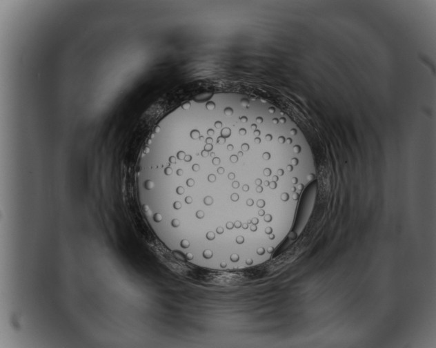 X0000094950527200711291108