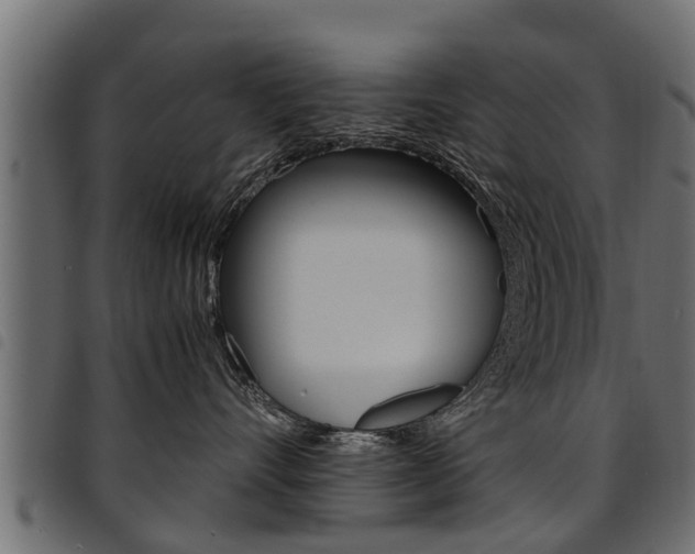 X0000094950528200711291108