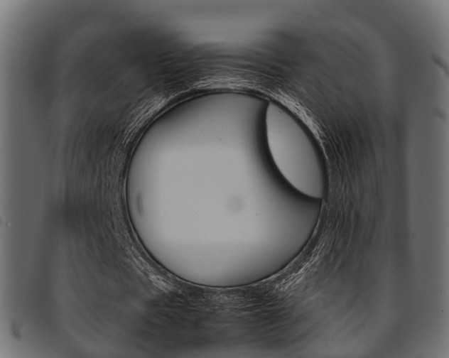 X0000094950529200711291107