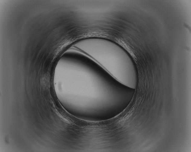 X0000094950530200711291107
