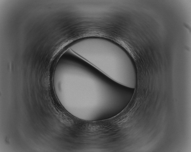 X0000094950531200711291107