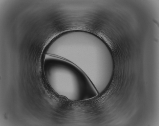 X0000094950532200711291107