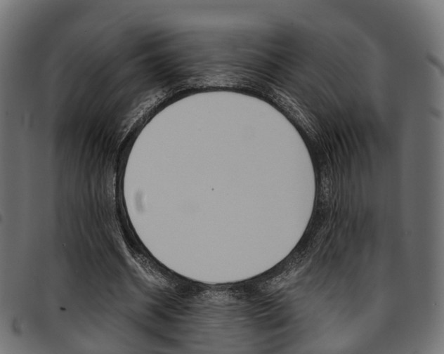 X0000094950534200711291107