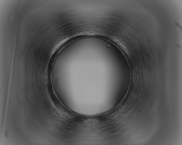 X0000094950536200711291107