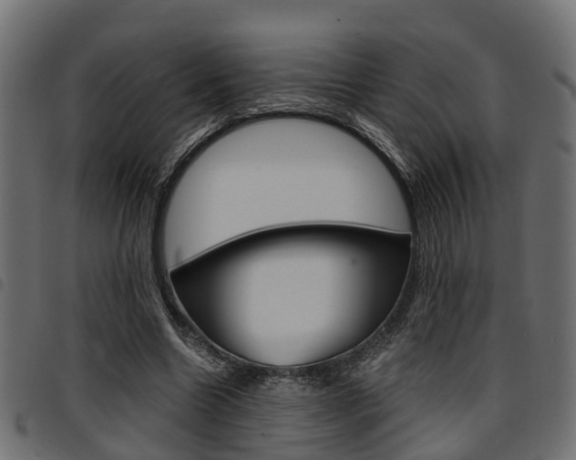 X0000094950538200711291107