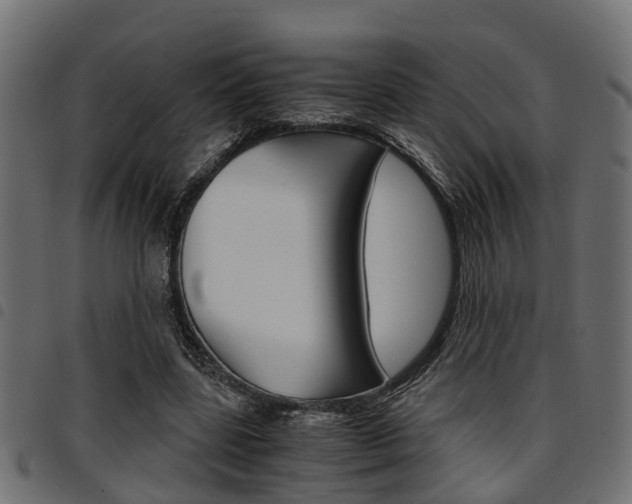 X0000094950539200711291107
