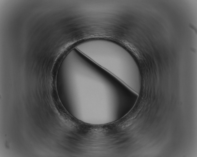 X0000094950540200711291107