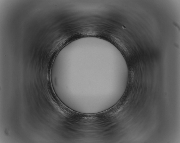 X0000094950541200711291107
