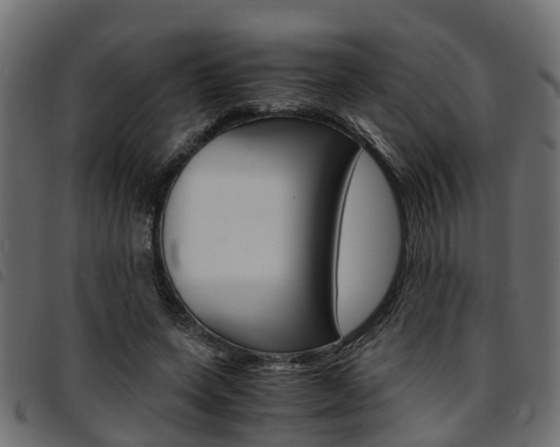 X0000094950543200711291107
