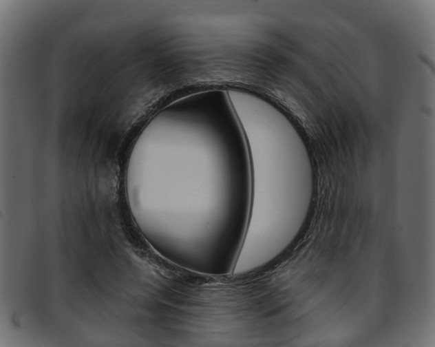 X0000094950544200711291107