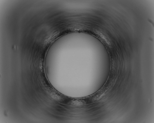 X0000094950545200711291107
