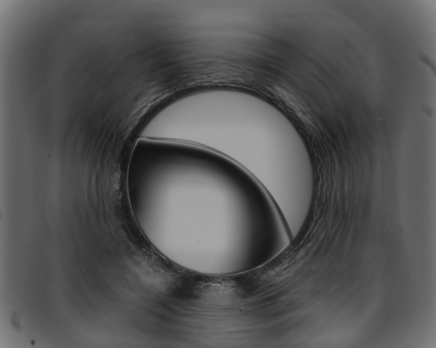 X0000094950548200711291107