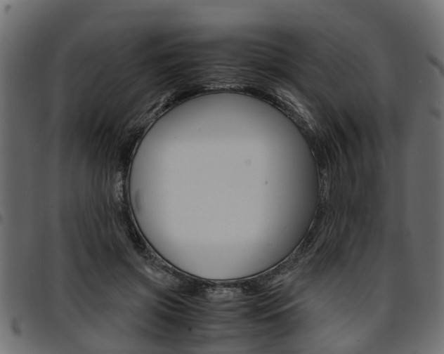 X0000094950549200711291107