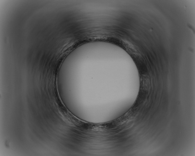 X0000094950550200711291107